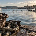 Que faire à Marseillan ce week-end : étang de Thau, quai et balades