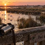 Quoi faire en Camargue : flamants roses à Pont de Gau, balade chevaux