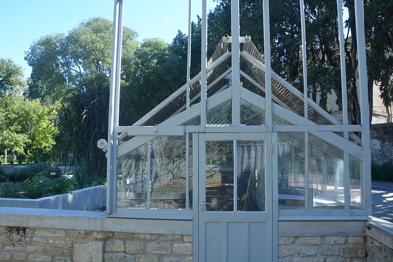 La serre du Jardin des plantes de Montpellier